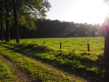 Vagevuurbos en Lippensgoed-Bulskampveld (België)